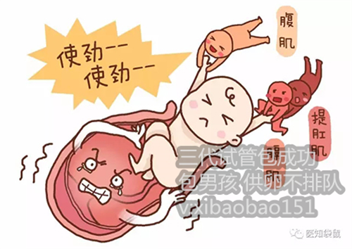 a卵b怀和b生怎么上户口：中国女子闯荡柬埔寨西港意外产子：宝宝患病无法回国